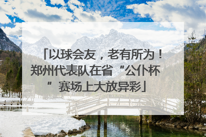 以球会友，老有所为！郑州代表队在省“公仆杯”赛场上大放异彩