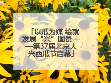 以瓜为媒 绘就发展“兴”图景——第37届北京大兴西瓜节启幕