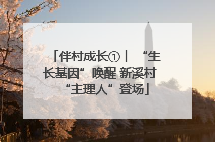 伴村成长①丨 “生长基因”唤醒 新溪村“主理人”登场