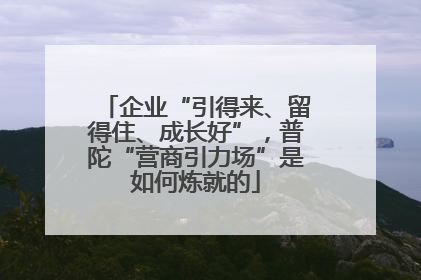 企业“引得来、留得住、成长好”，普陀“营商引力场”是如何炼就的