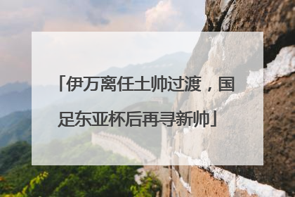 伊万离任土帅过渡，国足东亚杯后再寻新帅