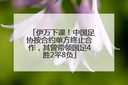 伊万下课！中国足协按合约单方终止合作，其曾带领国足4胜2平8负