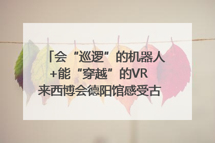 会“巡逻”的机器人+能“穿越”的VR 来西博会德阳馆感受古蜀文明与现代智造的时空对话｜西博视界