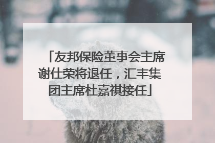 友邦保险董事会主席谢仕荣将退任，汇丰集团主席杜嘉祺接任