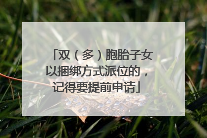 双（多）胞胎子女以捆绑方式派位的，记得要提前申请