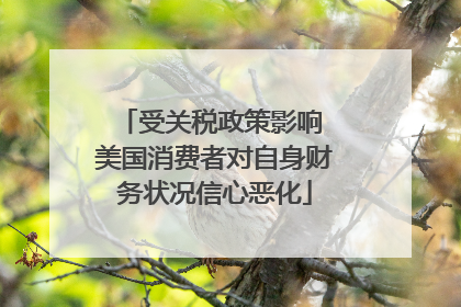 受关税政策影响 美国消费者对自身财务状况信心恶化