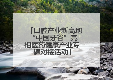 口腔产业新高地 “中国牙谷”亮相医药健康产业专题对接活动