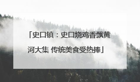 史口镇：史口烧鸡香飘黄河大集 传统美食受热捧