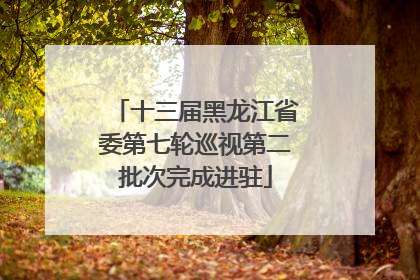 十三届黑龙江省委第七轮巡视第二批次完成进驻