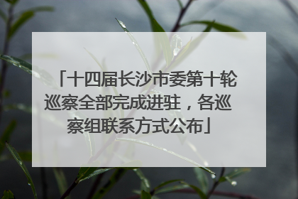 十四届长沙市委第十轮巡察全部完成进驻，各巡察组联系方式公布