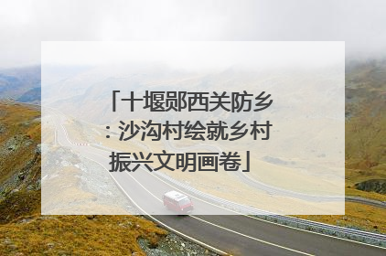 十堰郧西关防乡：沙沟村绘就乡村振兴文明画卷