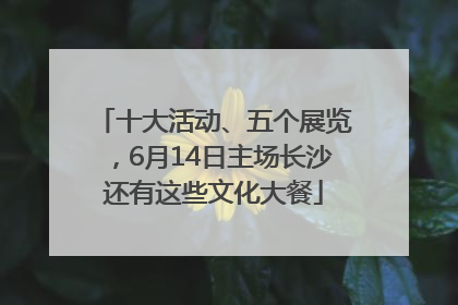 十大活动、五个展览，6月14日主场长沙还有这些文化大餐