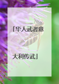 华人武者意大利传武