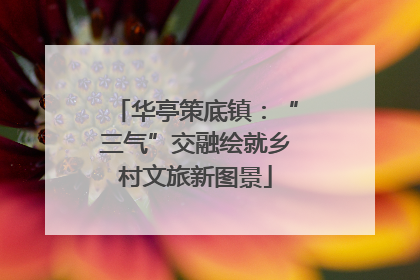 华亭策底镇：“三气”交融绘就乡村文旅新图景