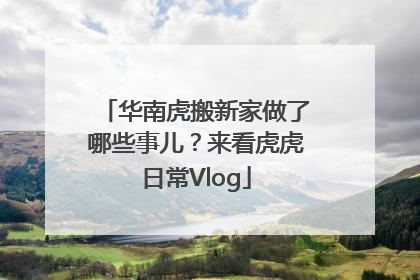 华南虎搬新家做了哪些事儿？来看虎虎日常Vlog
