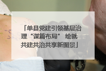 单县党建引领基层治理“谋篇布局” 绘就共建共治共享新图景