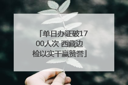 单日办证破1700人次 西藏边检以实干赢赞誉
