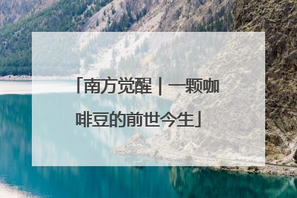 南方觉醒｜一颗咖啡豆的前世今生