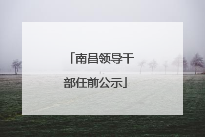 南昌领导干部任前公示