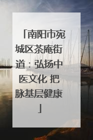 南阳市宛城区茶庵街道：弘扬中医文化 把脉基层健康