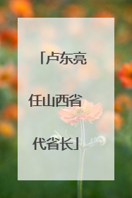卢东亮任山西省代省长