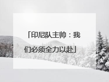 印尼队主帅：我们必须全力以赴