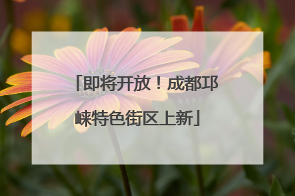 即将开放！成都邛崃特色街区上新