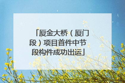 厦金大桥（厦门段）项目首件中节段构件成功出运