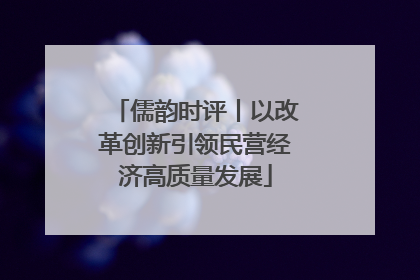 儒韵时评丨以改革创新引领民营经济高质量发展