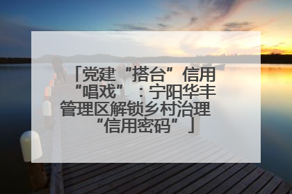 党建“搭台”信用“唱戏”：宁阳华丰管理区解锁乡村治理“信用密码”