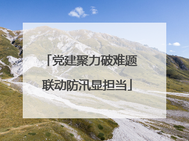 党建聚力破难题 联动防汛显担当
