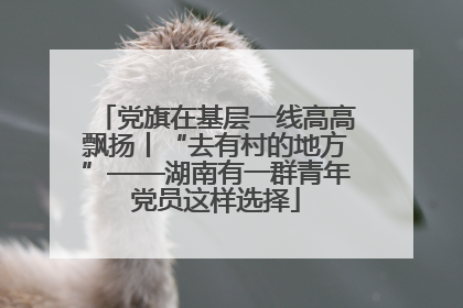 党旗在基层一线高高飘扬丨“去有村的地方”——湖南有一群青年党员这样选择