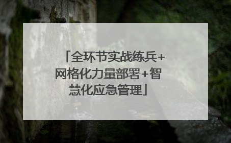 全环节实战练兵+网格化力量部署+智慧化应急管理