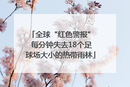 全球“红色警报”  每分钟失去18个足球场大小的热带雨林