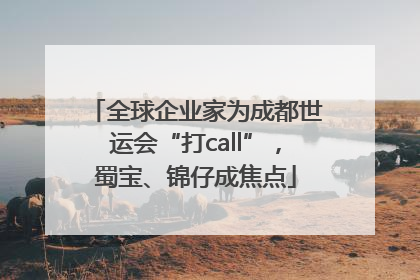 全球企业家为成都世运会“打call”，蜀宝、锦仔成焦点