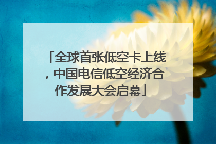 全球首张低空卡上线，中国电信低空经济合作发展大会启幕