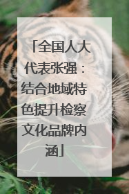 全国人大代表张强：结合地域特色提升检察文化品牌内涵