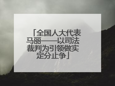 全国人大代表马丽——以司法裁判为引领做实定分止争