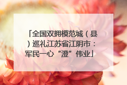 全国双拥模范城（县）巡礼江苏省江阴市：军民一心“澄”伟业