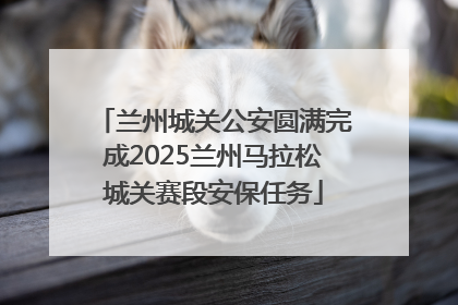 兰州城关公安圆满完成2025兰州马拉松城关赛段安保任务