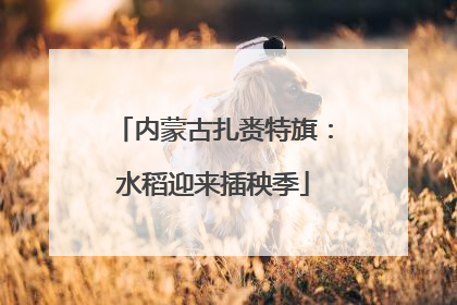 内蒙古扎赉特旗：水稻迎来插秧季