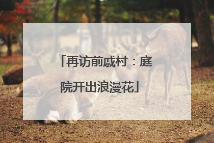 再访前戚村：庭院开出浪漫花