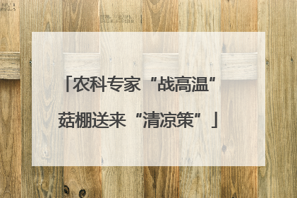 农科专家“战高温” 菇棚送来“清凉策”
