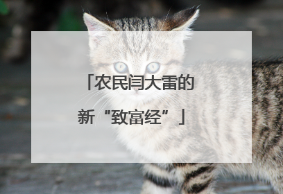 农民闫大雷的新“致富经”