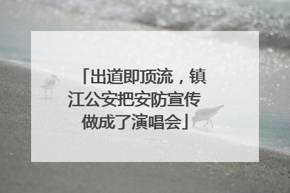 出道即顶流，镇江公安把安防宣传做成了演唱会