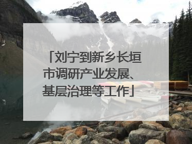 刘宁到新乡长垣市调研产业发展、基层治理等工作