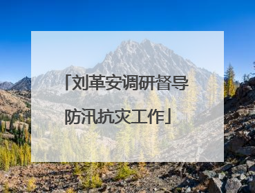 刘革安调研督导防汛抗灾工作