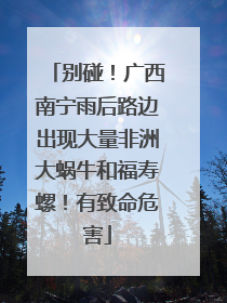 别碰！广西南宁雨后路边出现大量非洲大蜗牛和福寿螺！有致命危害