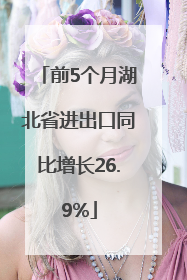 前5个月湖北省进出口同比增长26.9%