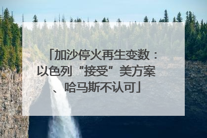 加沙停火再生变数：以色列“接受”美方案、哈马斯不认可